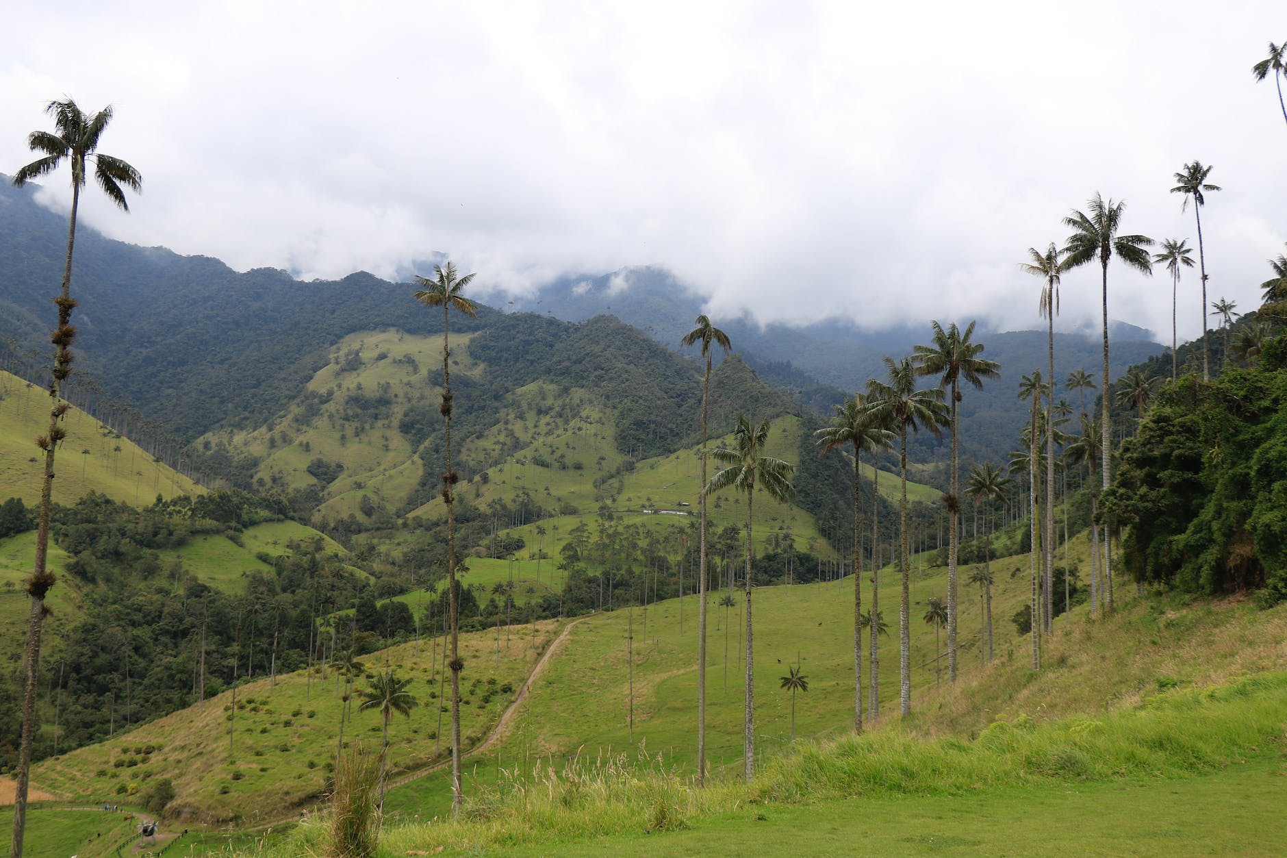 Crecimiento verde Colombia