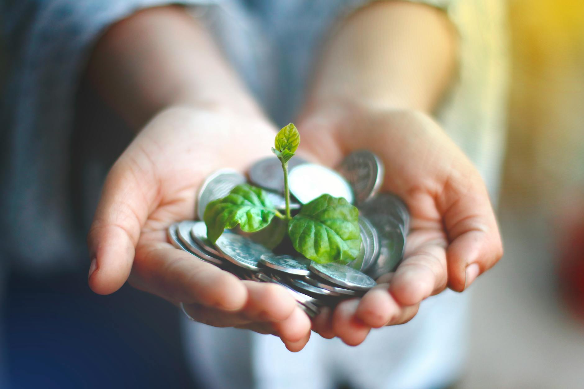 a person holding coins with a small plant