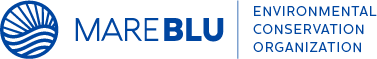MareBlu
